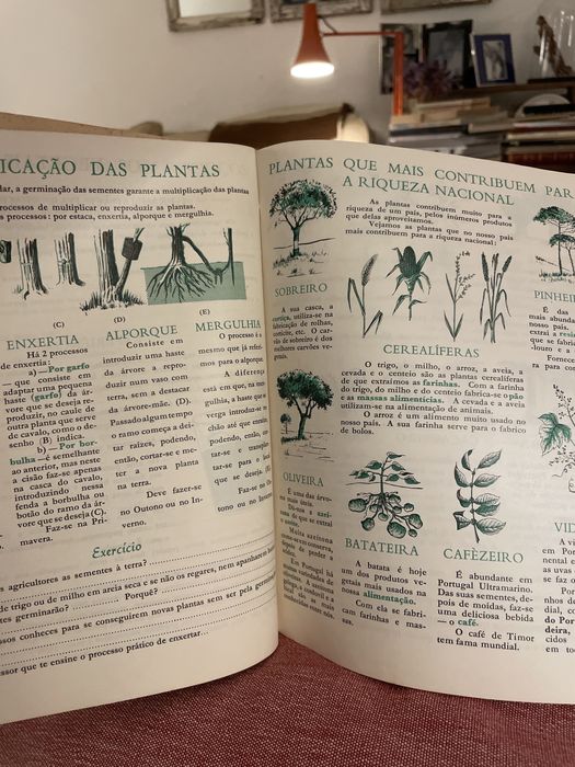 Livros escolares / escola antigos