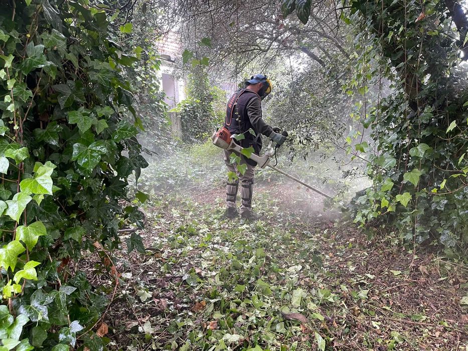 Manutenção de jardins