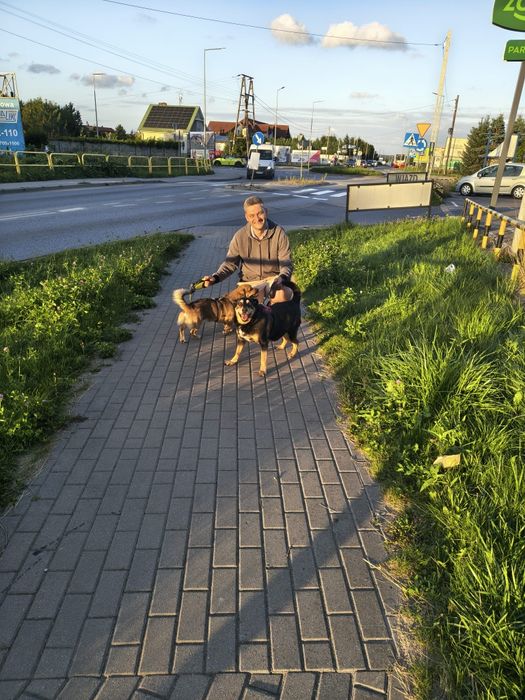 Opieka nad psem lub kotem