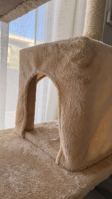 Arvore arranhador gatos