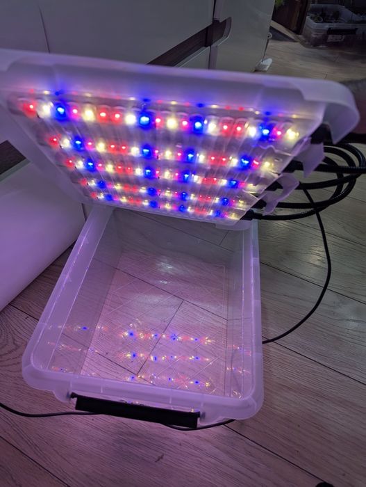 Lampa do roślin Mini Growbox 5xLED – Gotowy system.LED Grow Light 5 głowic Full Spectrum + Timer