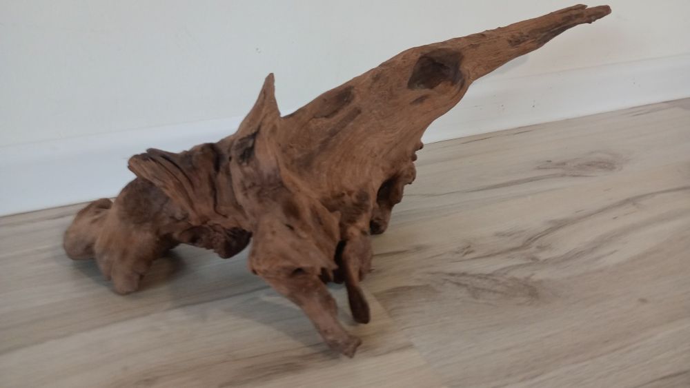 Japoński korzeń akwariowy