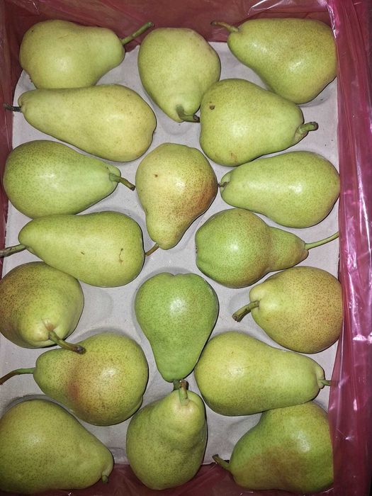 Renault Tradfic l1h1 klima