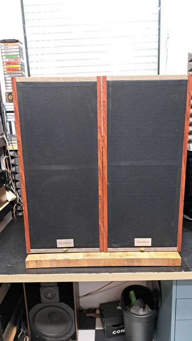 Kolumny Expolinear vifa isophon vintage