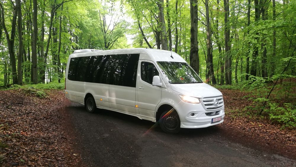 Usługi przewozowe, transport osobowy, przewóz osób, wynajem busa