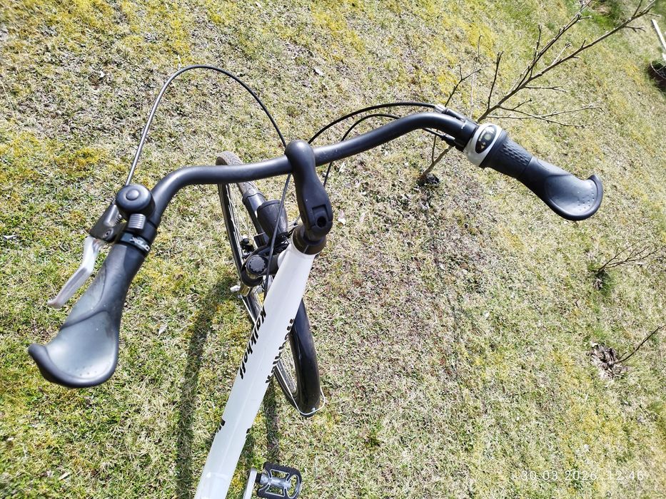 Rower miejski Pegasus