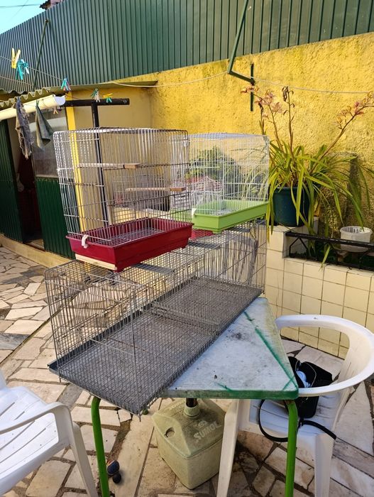 Gaiolas para canários