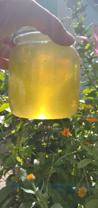 Мед травневий, акацієвий 2025 та липовий 2024 рік