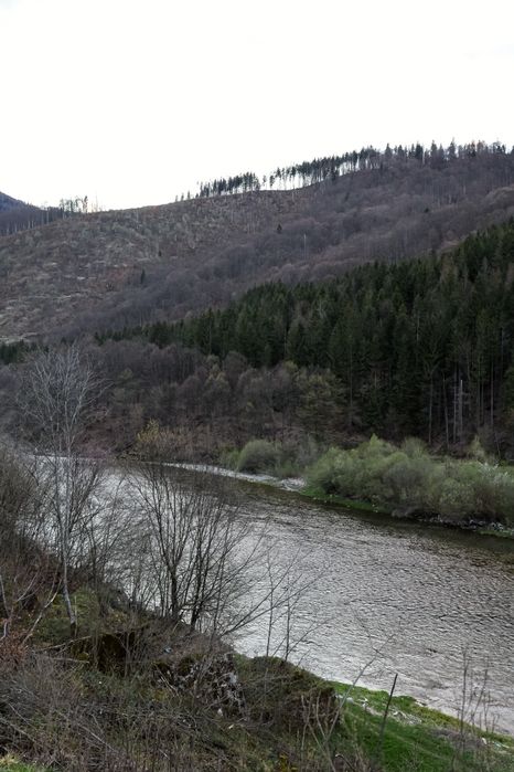 Продаж земельної ділянки в горах Закарпаття