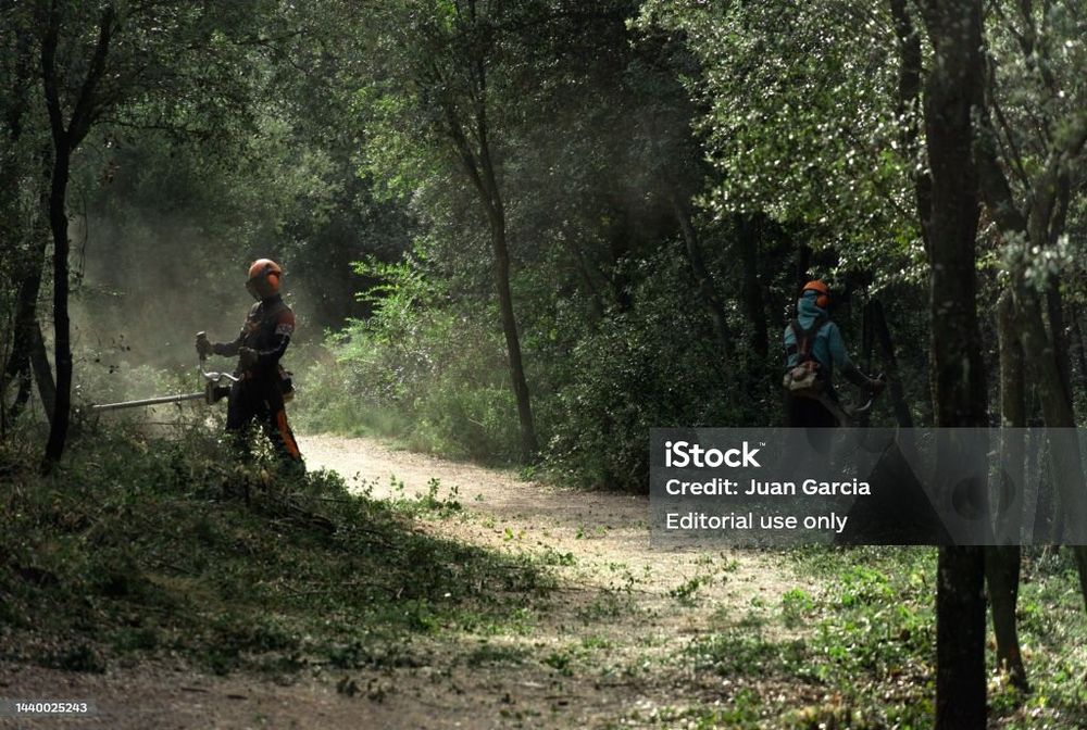 Зрізання дерев  у важкодоступних місцях способом альпенізму. обкоска трави чагарників