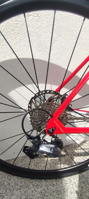 Focus izalco Race carbono