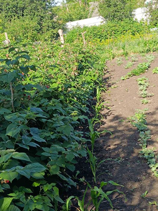 Срочно! Продам дом по улице Соборной в Подольске