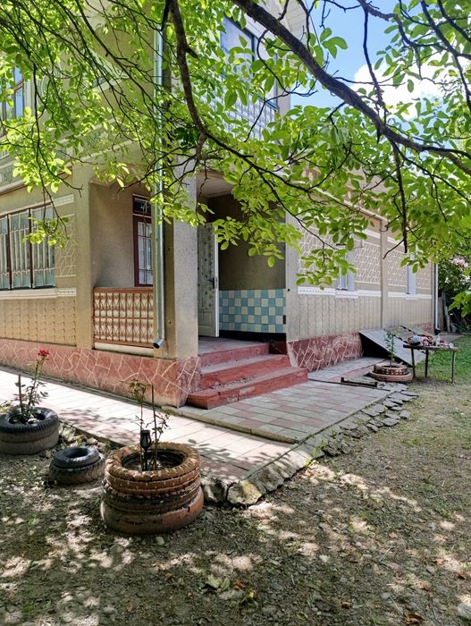 Продається господарство в селі Михайлівка Чернівецької області.
