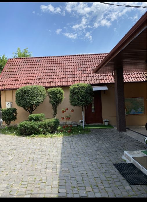 Відпочинок у Карпатах