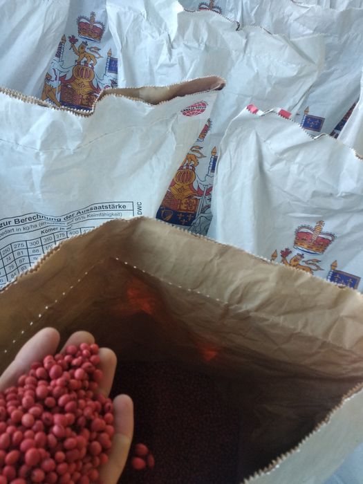 Канадська соя АББІ 1-А РЕПРОДУК на ПОСІВ! Рання Відправка НП! Делівері