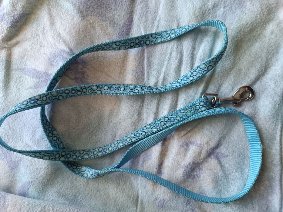 Шлея для собак ошийник  світлодіодний M і поводок іграшки для тварин