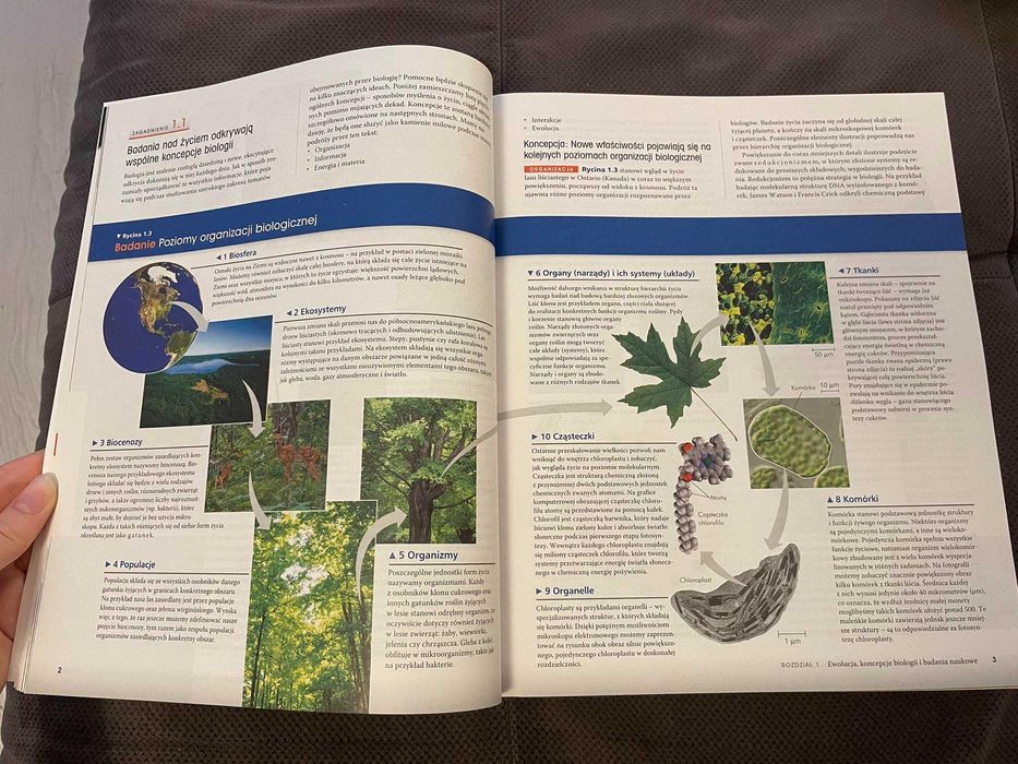 Biologia Campbella 2015