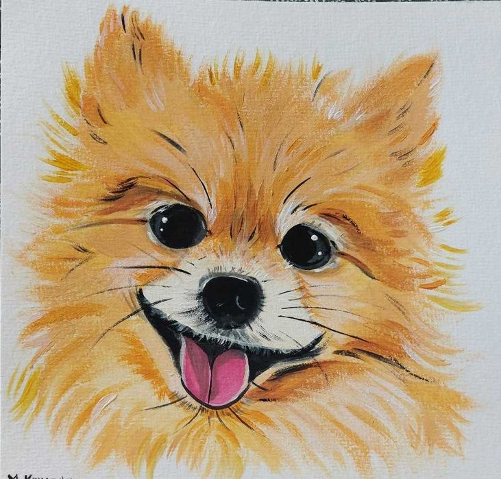 Obraz portret psa, Pomeranian