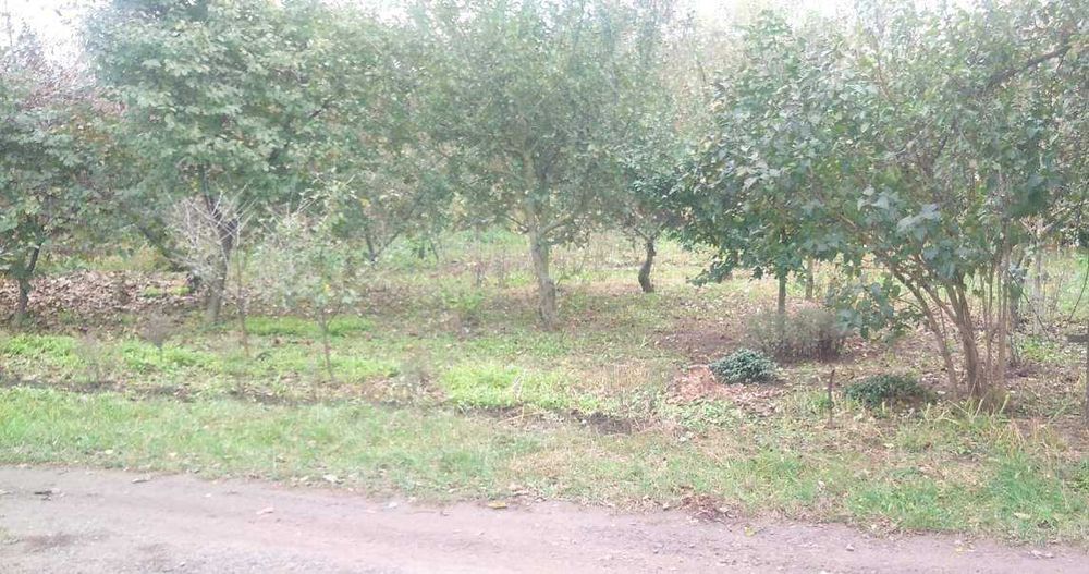 Земельный участок