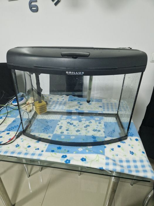 Akwarium modelbrillukx