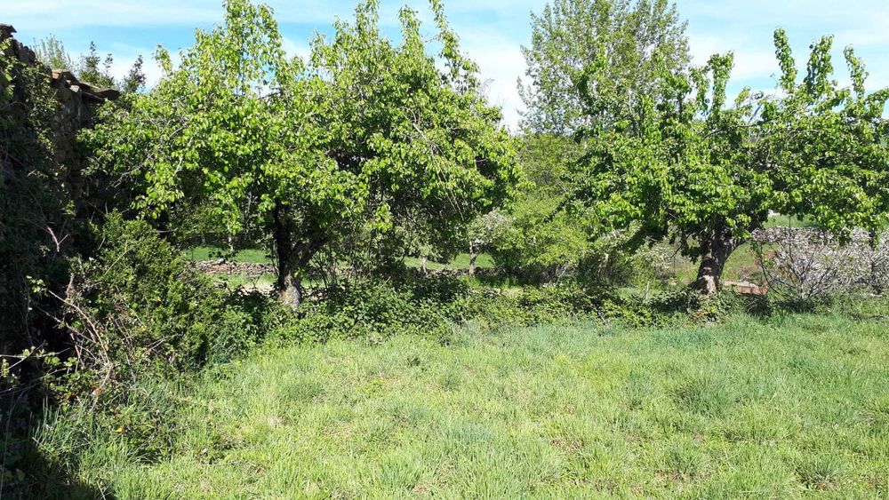 Casa rústica - Travanca - Vinhais (Trás-os-Montes)