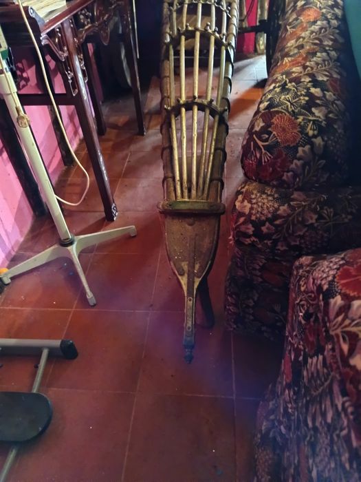 Carroça típica indiana