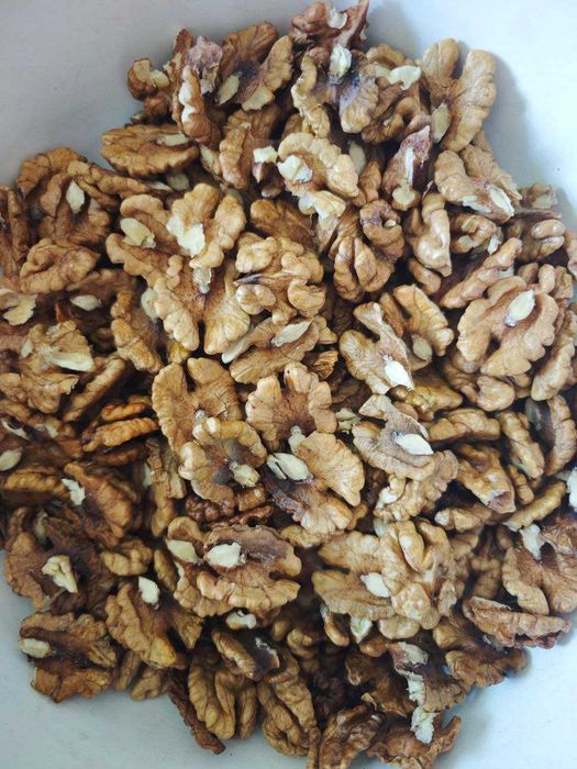 Грецький горіх, волоський, продам, 2025