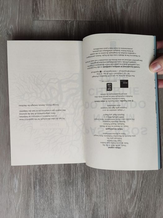 Livro "Os pássaros no fim do mundo" - Charlie Jane Anders