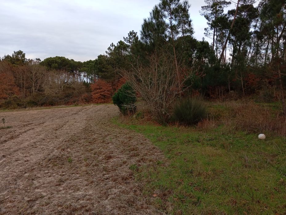 Terreno Agrícola - Vilar Seco