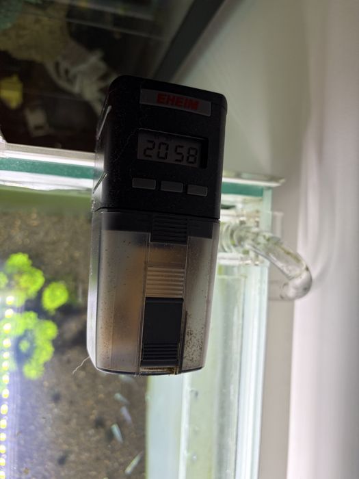 Aquario agua doce