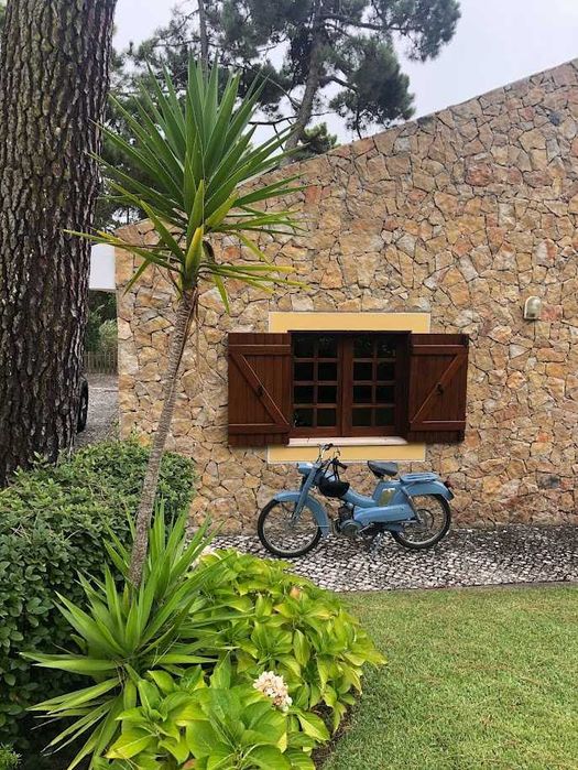 Moto Vintage "Mobylette" 1978 de Coleção