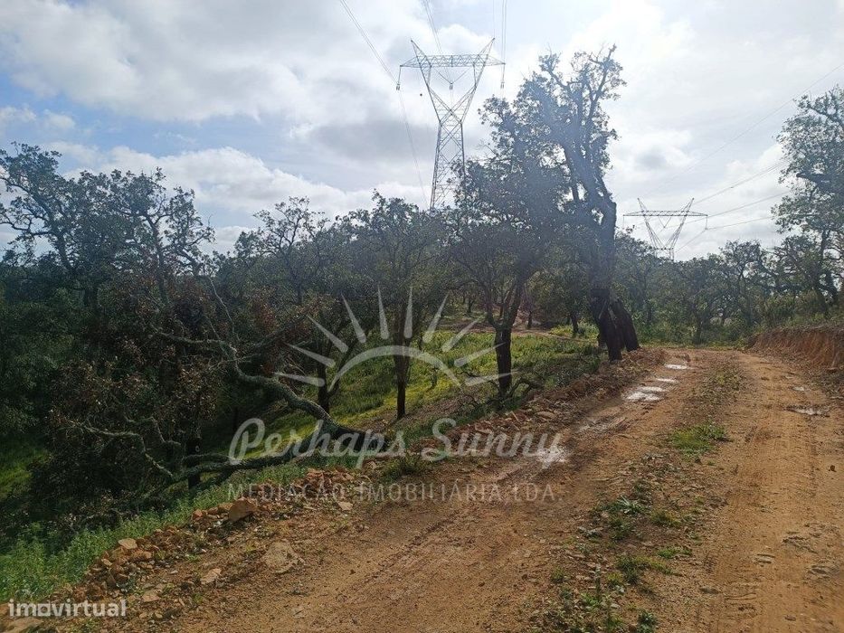 Terreno Rustico São Francisco da Serra