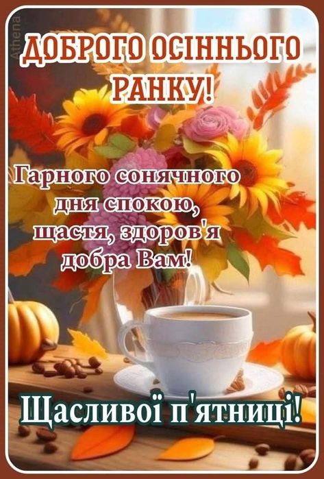 Продам свої квіти є щепідставки під вазони горщикидля орхідей і горщик