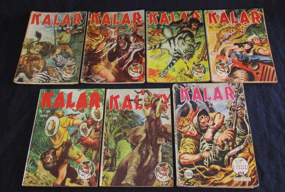 Livro BD Kalar Falcão