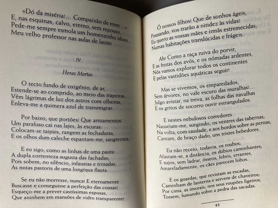Pequeno Livro, de Cesário Verde