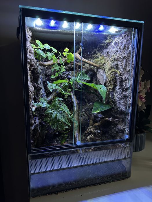 Terarrium tropikalne 30x30x45