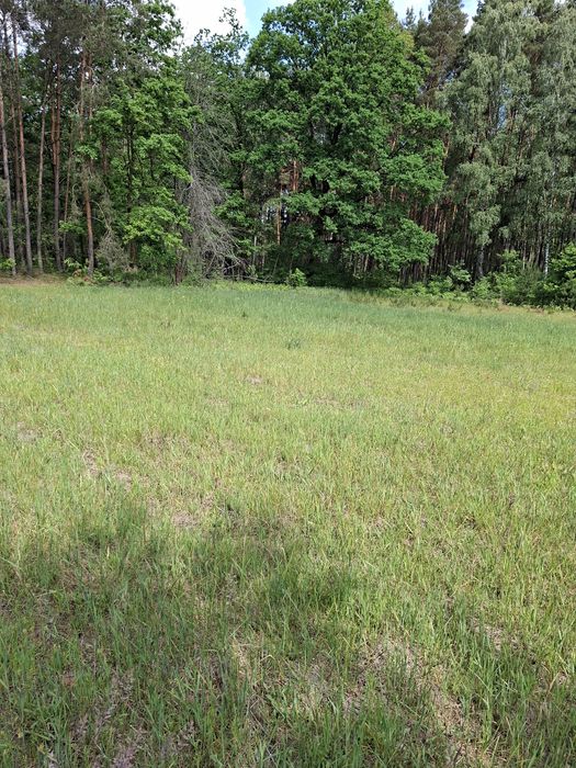 Działka 5300 m²  Jelenie gm. Kraszewice - Widok 3