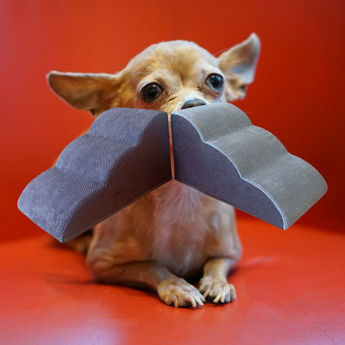 Сходинки для тварин, лесенка для собак і котів, драбинка для тварин