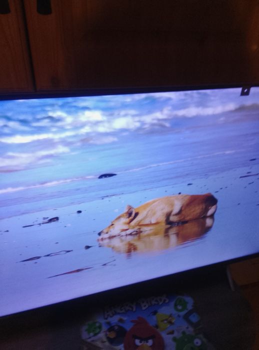 Telewizor 55cali Thomson