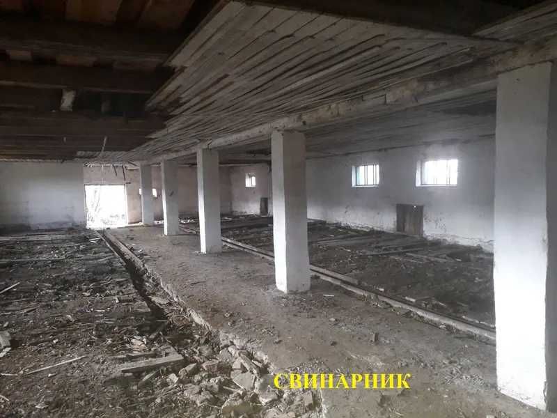 ПРОДАЖ - Свинарник, загальною площею 557,6 кв. м. с-ще. Маневичі