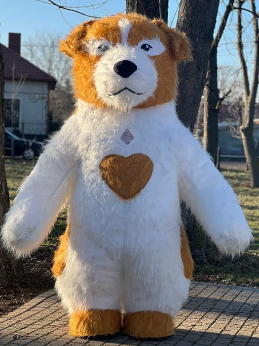 Білий ведмідь,привітання для дітей.Стрептизерша длячоловіків. Аніматор