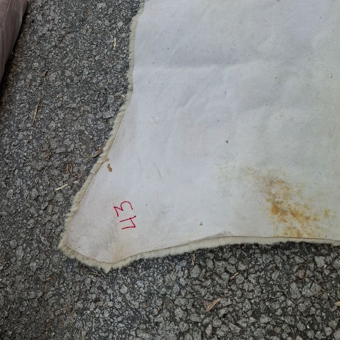 Pele de borrego com algumas manchas