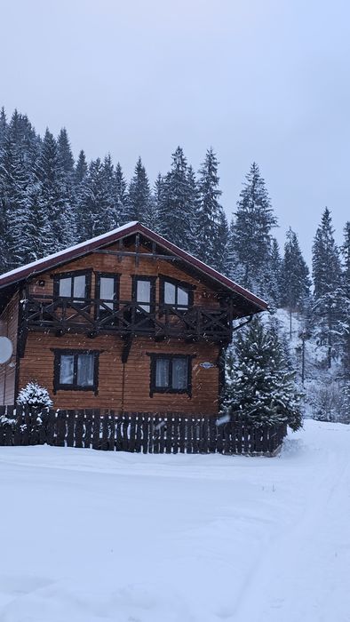 Відпочинок в Карпатах,Ворохта,котедж" Віадук"