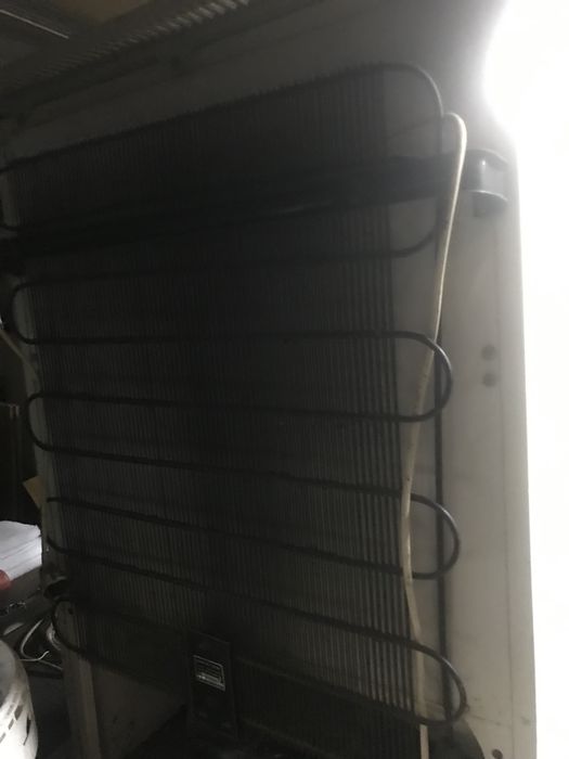 Frigorífico Vintage Bosch a funcionar