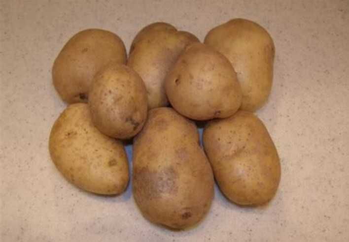 Картопля Мілена домашня бульба