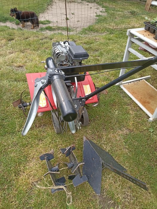 Dzik traktorek gutbrod glebogryzarka