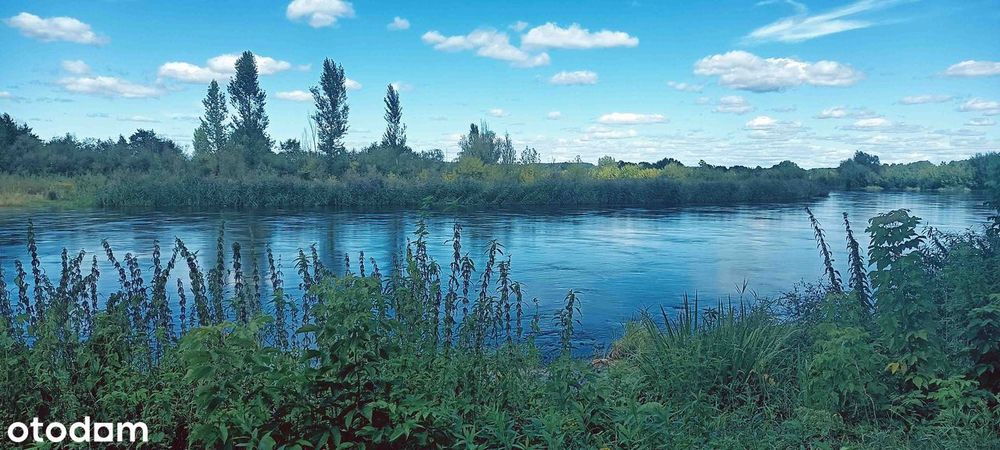 Sprzedam dużą, malowniczą działkę z domkiem Brzeźce k. Białobrzegów