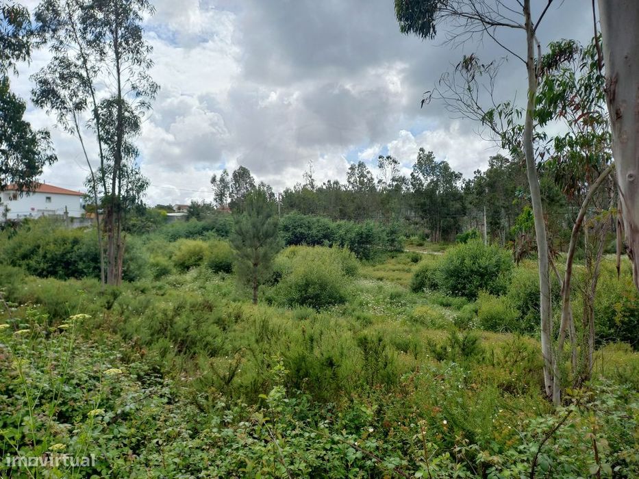 Terreno  para venda