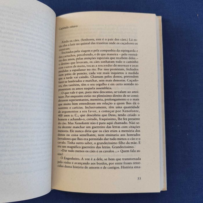 José Cardoso Pires - O Delfim