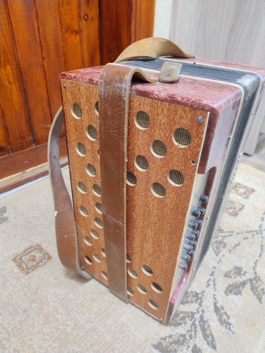 Дитячий баян Марічка